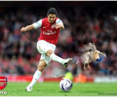Arteta v Spurs