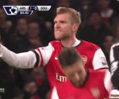 Per Mertesacker 08