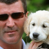 Irish Guide Dogs for the Blind Super value Shades 2010 Campaign