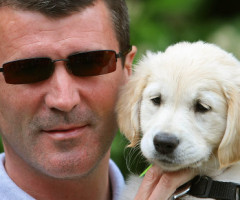 Irish Guide Dogs for the Blind Super value Shades 2010 Campaign