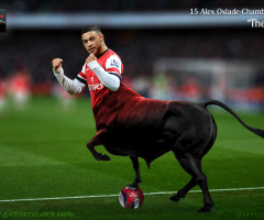 The Oxterminator... will he lead Arsenal's charge this season?