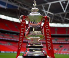 emirates-fa-cup-on-stand-on-pitch