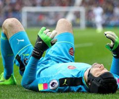 Cech back