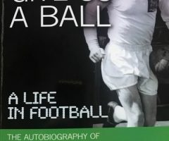 Theo Foley - Theo Give Us A Ball