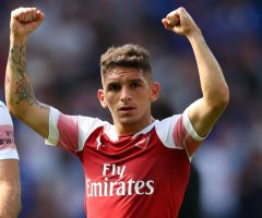 Torreira