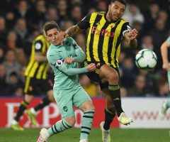 deeney torreira elbow