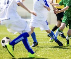 8B176878-2C8F-4F10-8F80-CC9797EA26DA